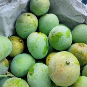 ১০ কেজি হিমসাগর আম- ঔষধ এবং ফরমালিনমুক্ত